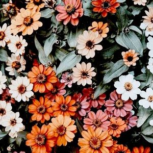 Meet your Posher, Tabitha